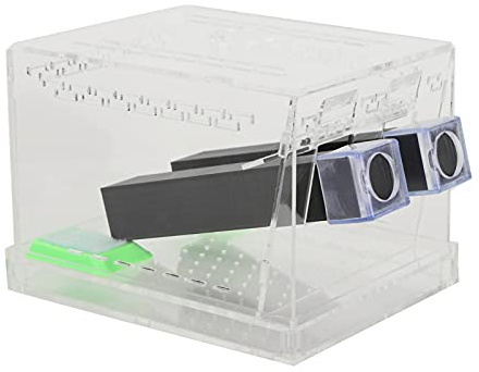 Fabater Stylo de Gardien de Grillons en Acrylique avec Tubes pour Nourrir Les Insectes, Boîte de Réservoir pour Reptiles avec Couvercle ventilé et Plateau à Excréments, Kit de Soins Contre Les