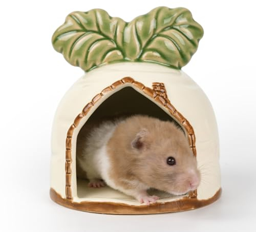 Kelivi Ceramic Hamster Hideout, Strawberry Hamster House and Habitat, Syrian Hamster Hideout Decor Cool Bed for All Season Gerbil, Mice Guinea Pig (White, Carrot)