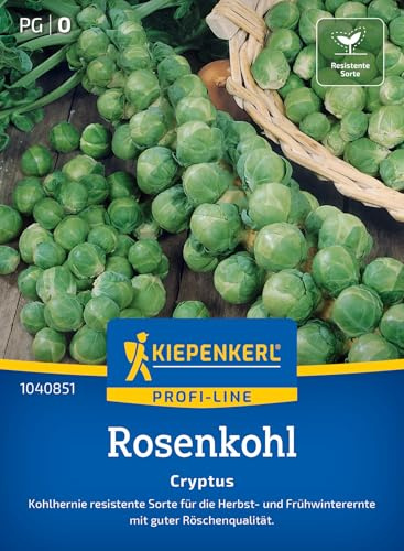 Kiepenkerl Profi-Line Rosenkohlsamen Cryptus 1040851 - resistente Sorte - Röschenqualität - Herbst- und Frühwinterernte - Samen Gemüse, Saatgut, Gemüsepflanzen