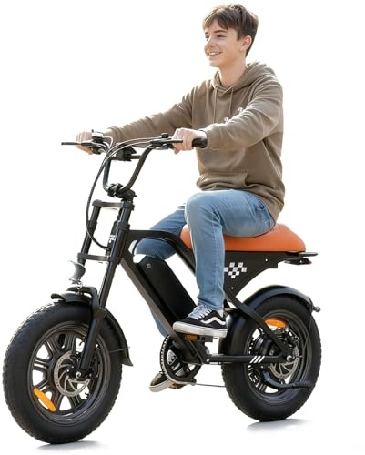 AYOLNY Electric Bike for Adults Teens, 1500/1000W Peak Motor Retro Electric Dirt Bike 55 Miles Pas Range, 20/16 Fat Tire 20MPH Full Suspension Banana Seat Ebikes with Pump, All-Terrain