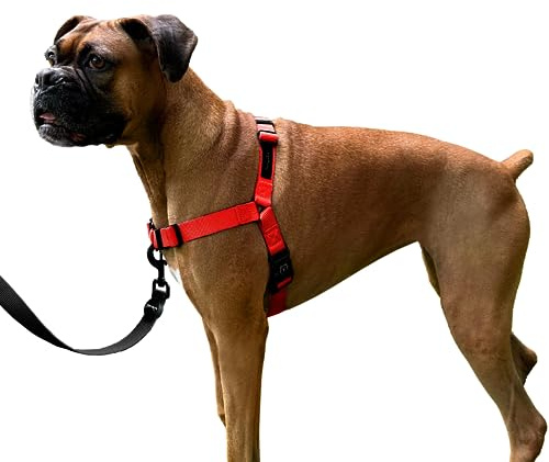 ShawnCo Dream Walk No-Pull Dog Harness- Adjustable, Comfortable, Easy to Use Pet Halter to Help Stop Pulling for Small, Medium and Large Dogs (Mustang Red, M)
