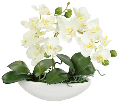 Künstliche Orchidee in Schale 27cm Kunstblume Blume Kunstorchidee Phalaenopsis mit Übertopf Kunstpflanze Hochzeit Deko Schmetterling Phalaenopsis Dekoblume Seidenblume Blumenarrangements, weiß