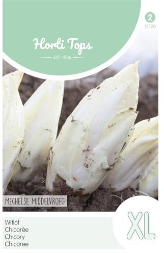 Hortitops 12120 Ensalada de achicoria Mechelse Middelvroeg (semillas de achicoria)