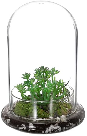 OGANAZI Mini växtterrarium, glas, suckulentkruka, klar glaskupol med 3 mm lufthål, dekorativ glasklocka med glasbotten, bordsdekoration, present för kontor, arbetsrum, vardagsrum (14,5 x 21 cm, utan