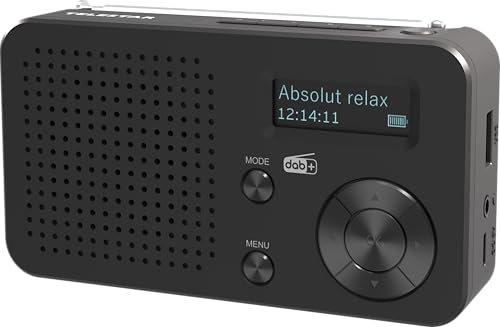 TELESTAR TOP 100 – Mobiles DAB+/UKW Radio (austauschbarer Akku, bis zu 15 Std. Spielzeit, kurzes Ladezeit, Bluetooth 5.4, USB-Mediaplayer) – Schwarz