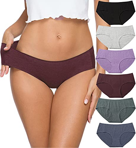 Altheanray Women’s Cotton Seamless Underwear Breathable, Cotton Hipster Panties for Women (3028M-B/LP)