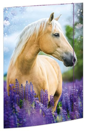 RNKVERLAG 45381 - Zeichenmappe Pferdeträume 310 x 440 mm, Dokumentenmappe für DIN A3, mit Gummizugverschluss, 1 Stück