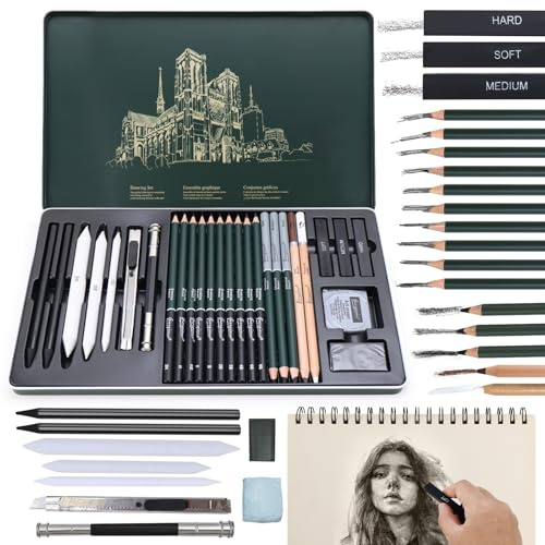 BINYI Set di Matite da Disegno Matite Professionali da Schizzo Kit Disegno Professionale con Matite di Grafite e a Carboncino per Ombreggiature e Schizzi Professionali 27 Pezzi