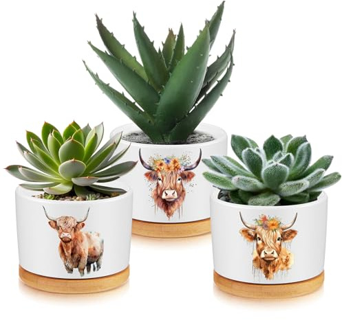 Jingmore 3pcs Highland Cow Ceramic Planters, Neutral Color, Included Bamboo Trays, 2.5''x3.15'', Indoor Use, Gift for Women, Farm House Decorations | Ocean Theme Ceramic with Bamboo Trays, Office Home Bathroom Kitchen Decor, Small Plant Pots No Plants Included