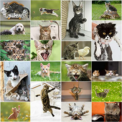 CHATS Lot de 20 cartes postales amusantes, mignons, méchants et drôles (20 motifs différents) pour collectionneurs et postcrossing