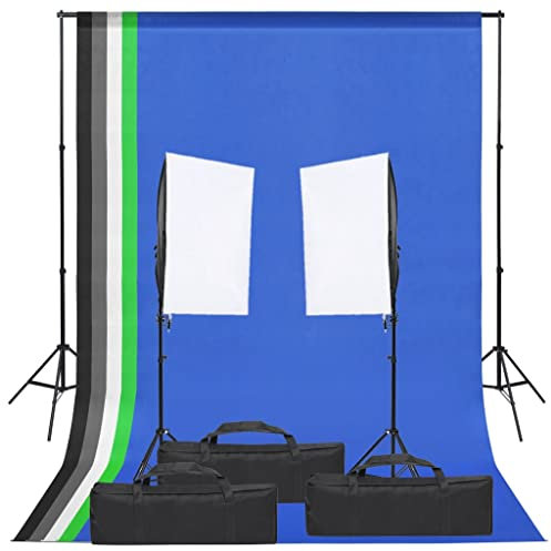 vidaXL Fotostudio-Set mit Beleuchtung und Hintergrund, Studio-Kit, Tageslicht-Lampe, Studio-Beleuchtung-Set, Studio-Licht, Fotografie-Licht