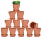 Lot de 12 Pots en Terre Cuite avec Soucoupe - 7,6 cm - Pots en Argile - Pots de Fleurs en céramique - Pots de Fleurs succulentes - Parfaits pour Les Plantes, Les travaux manuels