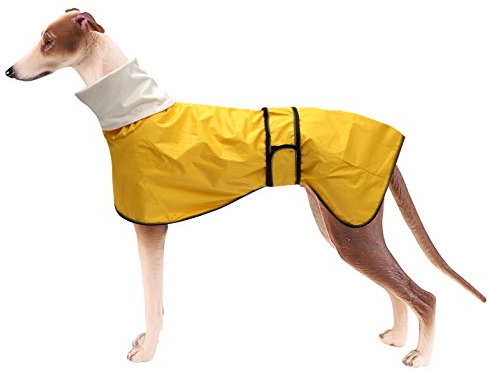 MOREZI Hunderegenmantel mit Stehkragen, Wasser- und Winddicht, mit reflektierenden Streifen und Verstellbarer magischer Schnalle, geeignet für Windhunde und Whippets-Gelb-XXXL