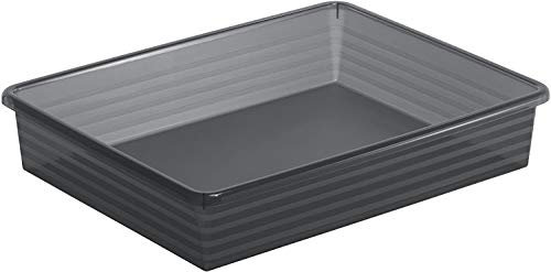 Rotho Linus Aufbewahrungsschale A4, Kunststoff (PP) BPA-frei, anthrazit, A4 (34,5 x 27,0 x 6,0 cm)