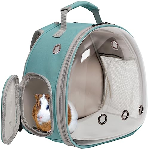 Sac à dos de transport pour cochon d'Inde - Capsule transparente - Avec fenêtre à bulles - Pour petits animaux - Dragon barbu, lapin, chaton, reptile, vétérinaire (vert, bulles transparentes)