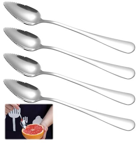 Silver Stainless Steel Dessert Spoons, 4 Set with Serrated Edge for Fruits