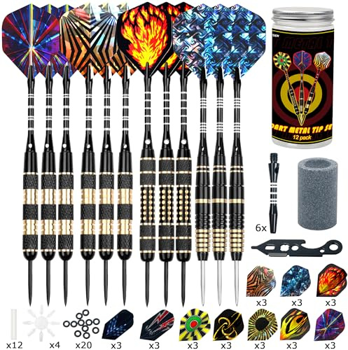 12 stycken dartpilar metallspets, 20/24/26 gram professionell dartpilar, piluppsättningar med aluminiumskaft flygare skydd gummi O-ringar multipurpose dart verktyg