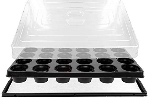 GREEN24 Hydroponik TP24-7 Zimmergewächshaus mit 24 Rundtöpfen Ø 7cm | Zimmer-Gewächshaus mit automatischer Bewässerung für die Anzucht mit Wanne + Kapillarsystem + Trägerplatte + Rundtöpfen + Haube