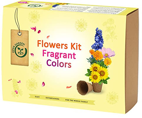 kit prêt à pousser - Fleurs - Jardin d’intérieur – Plantes (dauphinelle élevée, Cosmos, Œillet d'Inde, Tournesol) - Idée Cadeau…