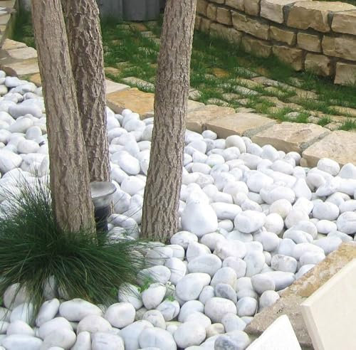 mille idee Ciottoli in marmo bianco carrara, sacca da 25kg, sassi con angoli arrotondati per decorazione ornamento giardino, pietre naturali per Vaso fiori, acquario, (Diametro 25-40 mm)