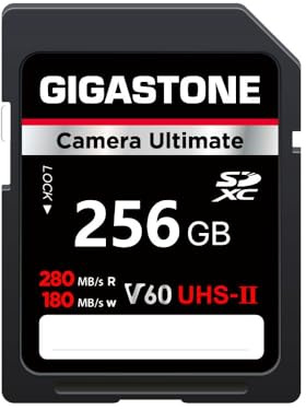 GIGASTONE UHS-II V60 256GB SD Karte, Camera Ultimative, bis zu 280/180MB/s, U3 SDXC 4K Ultra HD UHD Video für DSLR Canon, inkl. 1 Mini Tasche.