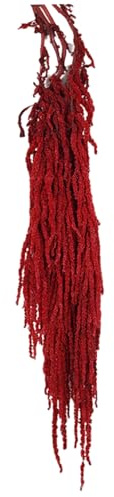 Amaranthus Fiore artificiale, 24-31.5 Fiori secchi sospesi, Amaranto secco naturale naturale, piante secche riutilizzabili per decorazioni per la festa della parete per bouquet di nozze, rosso s