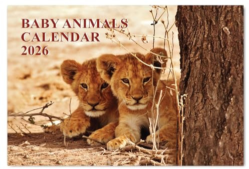 A4 Baby Animals Calendar 2026 12 Month Wall Calendar 2026 UK 2026 Calendar Month to View A3 When Open Papa Prints