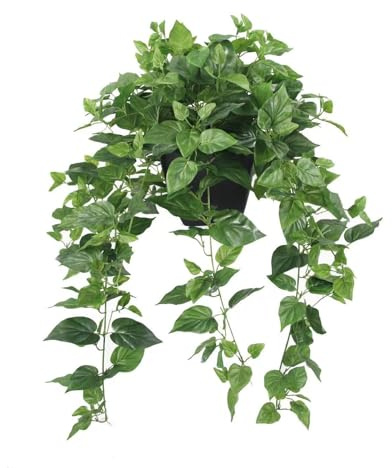 365 Blooming Decor Realistic Artificial Pothos Ivy Plant, Fake Devil's Ivy, for Office, Home Decor, 30 H x 22.8 W, in Contemporary Black Pot //No Assembly Required//fade-resistant.