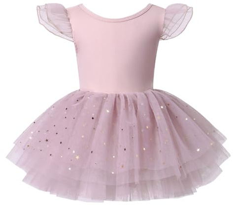 LYZOURBB Baby Girls Ruffle Sleeve Ballet Dress Ballerina Costume Dress 1-6Y | Kids Crossed-back Shiny Tulle Ballet Leotard for Dance Girls
