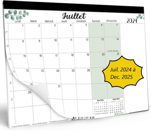 Large Wall Calendar 2025 (15 Months) 43 x 30 cm, Family Calendar Oct. 24 - Dec.2025, Large Advent Calendar Organiser Planner, Office and Home, Monthly Planner