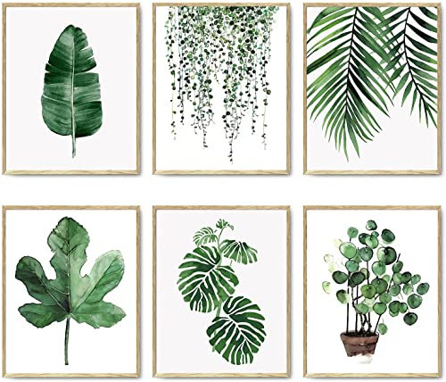 YTFG Botanical Plant Wall Art Prints Set,Aesthetic Room Decor Set of 6, 21 x 30cm Unframed Watercolour Green Botanical Poster Leaf Pictures,Home Decor Bathroom Kitchen Living Room,Leaf Prints