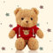 Teddybär Kuscheltier, Teddy Bear Kuscheltiere, 30 cm Teddybär Klein, Steiff Kuschelbär Baby mit Kapuze Tatzendruck Plüschtier Plush stofftier Geschenk