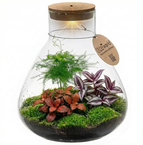 vdvelde.com - Flaschengarten - Pflegefreies Pflanzen Terrarium - Ø 30 cm ↥ 32 cm - Batteriebetriebene Beleuchtung