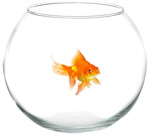 TrAdE Shop Traesio AMPOLLA Boccia per Pesci in Vetro 20 CM Acquario Pesce Rosso CENTROTAVOLA