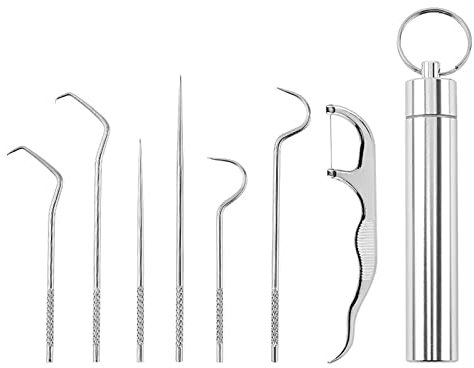 304 Edelstahl Zahnstocher Set, 7 Stück Tragbare Zahnstocher Metall Titan Zahnstocher Set Wiederverwendbar 304 Edelstahl Zahnstocher Obstgabel mit Halter für Outdoor Picknick Camping Freien