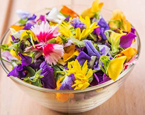 MISCUGLIO DI FIORI EDULI NR.50 SEMI