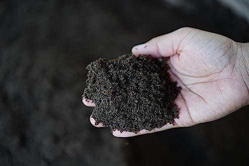 UK GROW Worm Castings - Organic Plant Fertilizer for Thriving Gardens (3Ltr, Sturdy Bucket)