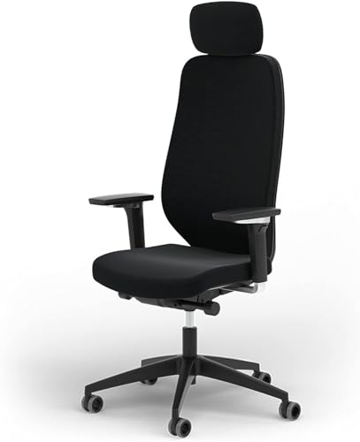 Ergotopia MasterBack Pro ergonomischer Bürostuhl [TESTSIEGER] – Schreibtischstuhl ergonomisch mit 3D-Neigungsmechanik & 5D-Armlehnen – Perfekt als Drehstuhl für Büro & Home Office