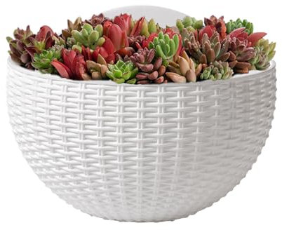 Wusideday Pot à Fleurs Mural - Pots De Muraux en Rotin Imitation - Élégant Conteneur pour d'Intérieur Ornement Moderne pour Pétunias Impatiens Pothos Orchidées Bégonias