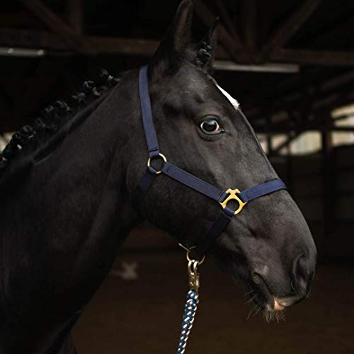 Halter for Horses Warmblood, Thoroughbred, Cold Blood - Stable Halter, Pasture Halter, 2 Adjustable Positions on Chin Strap and Headpiece, Safe and Tear-Resistant (Dark Blue, Warmblood (Full))