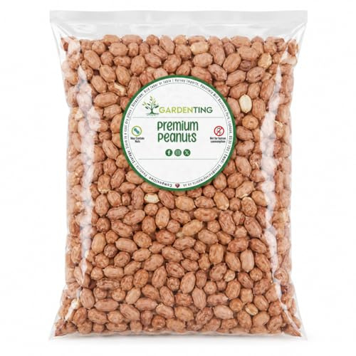 Peanuts Wild Bird Food Nuts Whole, 3L Bag, Wild Bird Food