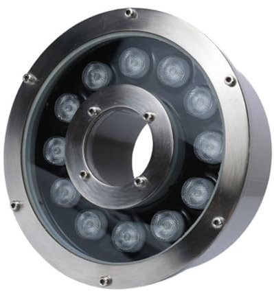 Anneau Lumineux LED pour Fontaine, éclairage subaquatique, étang, IP68, étanche, Basse Tension, en Acier Inoxydable, éclairage pour Piscine, Parc, Paysage