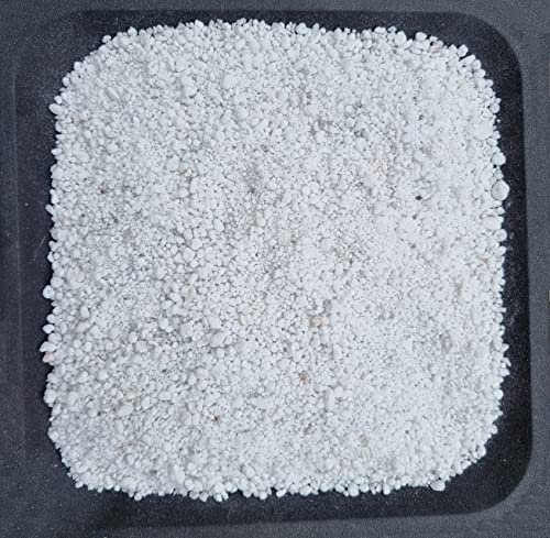 Perlite per Piante in vaso | 3 Litri, 5 Litri, 10 Litri | Agriperlite per Piante Grasse Orchidee Pianta Carnivore Talee | Substrato da Giardino Orto (20 Litri)