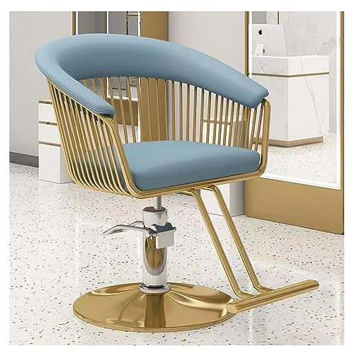 LipomA AG-HJMJP Barber Chair for Home And Professional Hair Salon, Hairdressing Chair with Swivel And Hydraulic Pump, Adjustable Hair Styling Beauty Chair,Blue 2