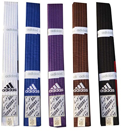 adidas Brazilian Jiu Jitsu Gürtel 300 weiß