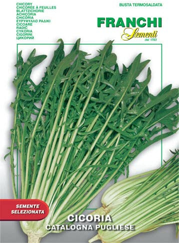 Franchi Sementi Semi Cicoria Catalogna Pugliese 10g