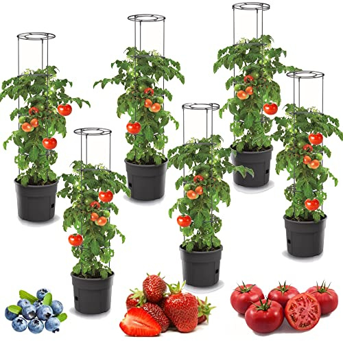 6 x tomatkrukor, planteringskrukor, set med 6 stycken tomatodlingskrukor på 28 l, överkruka, grönsaker, tomater