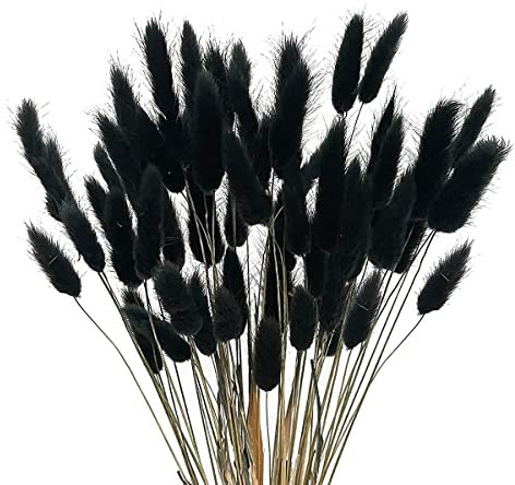 TORR 60 Piezas de Secas de OtoñO, Colas de Conejo, Secas, Lagurus Ovatus, Hierba de Cola de Conejo para Secas (Negro)