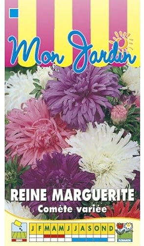 Sachet de graines de Reine Marguerite Comète géante variée - 0,8 g - fleur annuelle - LES GRAINES BOCQUET