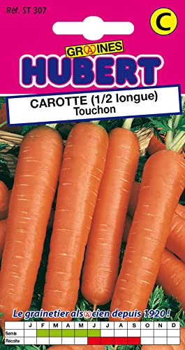 Graines de Carotte demi-longue Touchon - 6 grammes